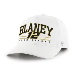 RYAN BLANEY / TEAM PENSKE ROSCOE BVHATS 47 HITCH