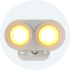 Lights & Lighting
